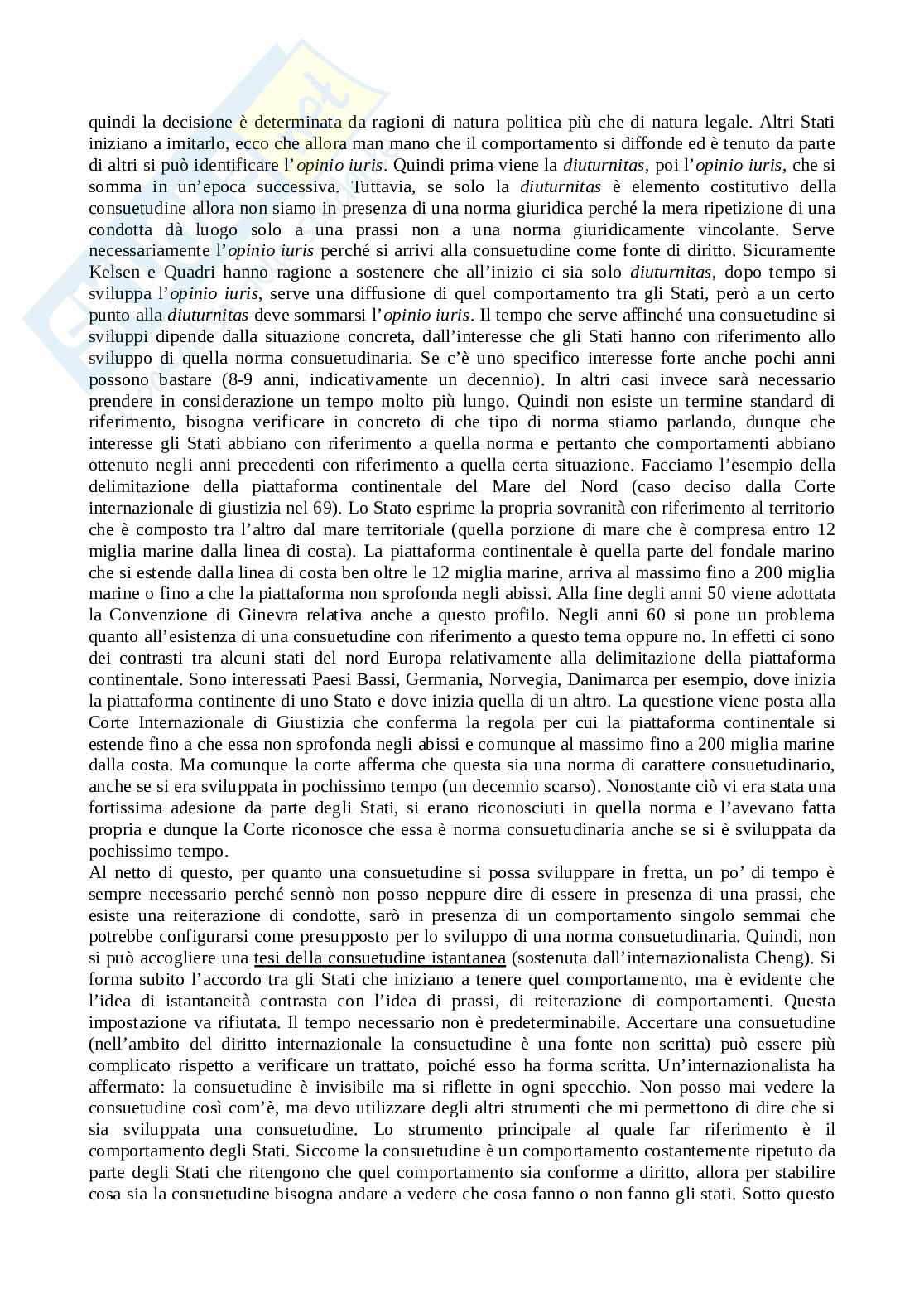 Diritto internazionale Pag. 46