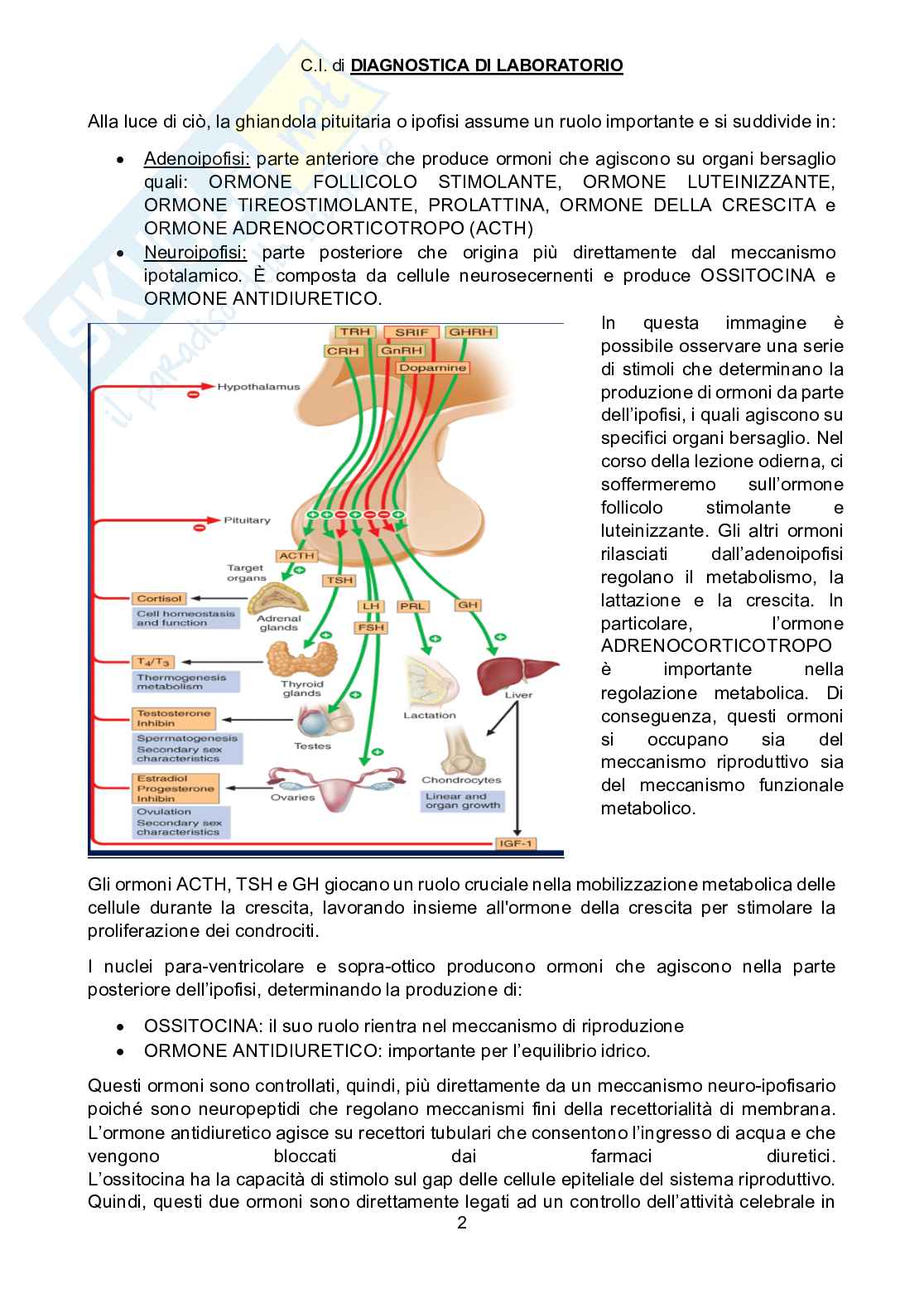 Patologia generale Pag. 2