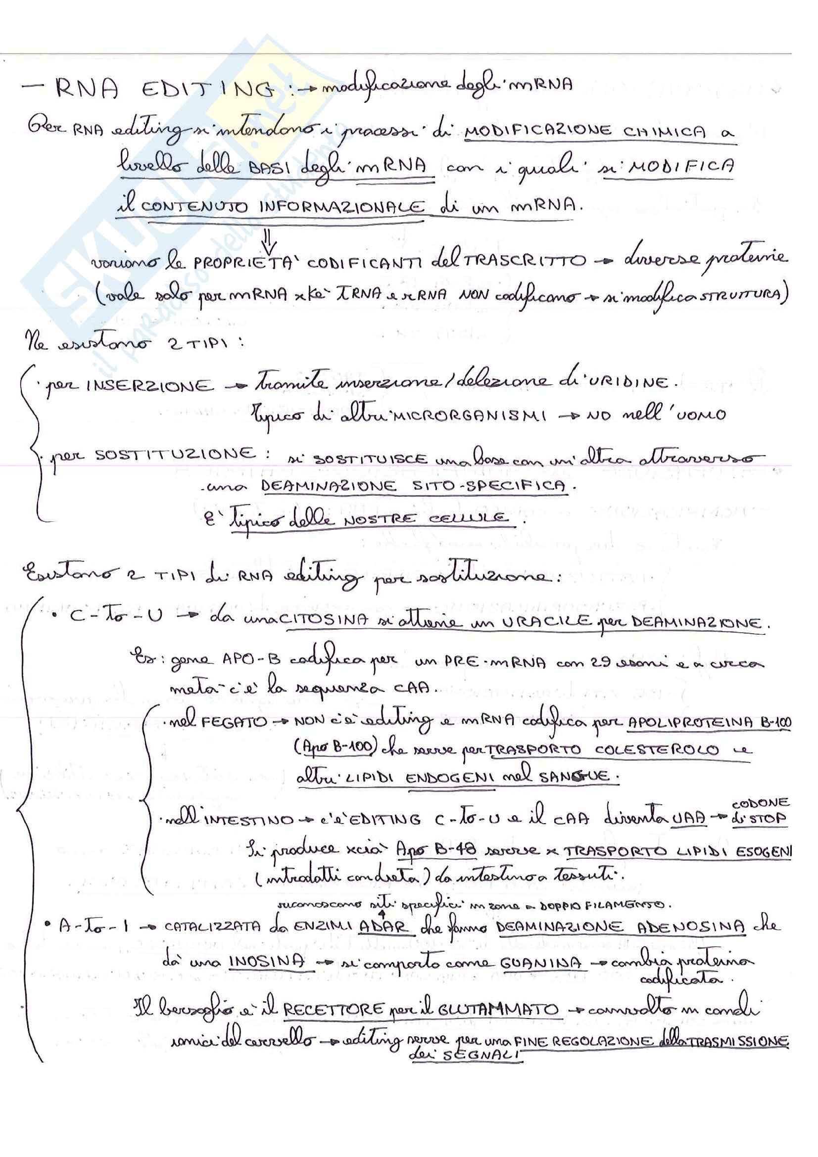 Lezioni, Biologia molecolare Pag. 66