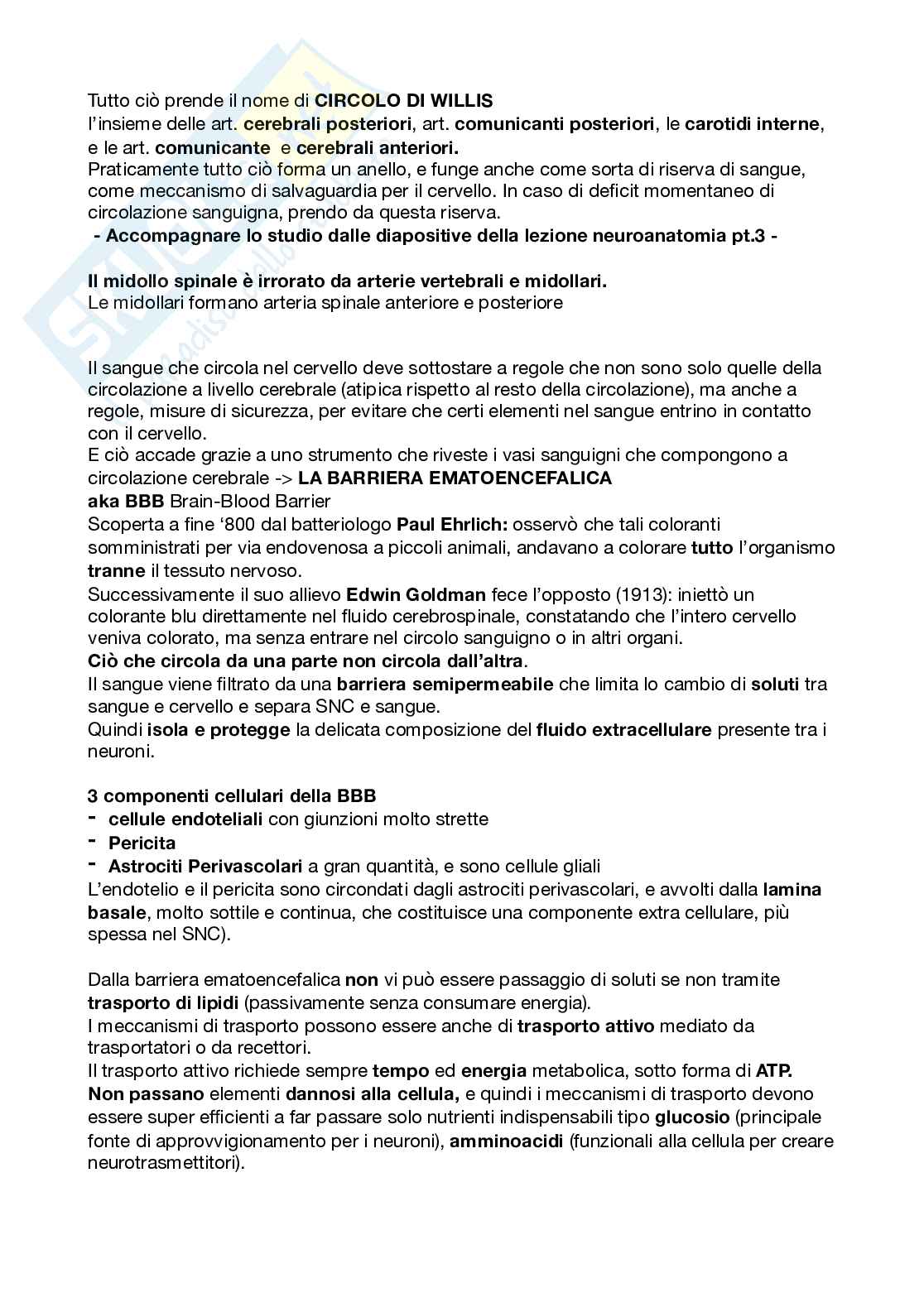 Appunti esame Psicobiologia Pag. 11