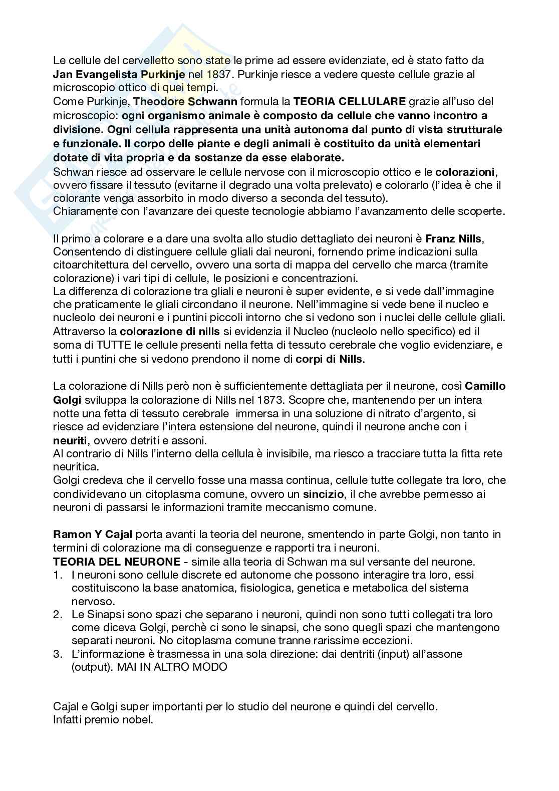Appunti esame Psicobiologia Pag. 16