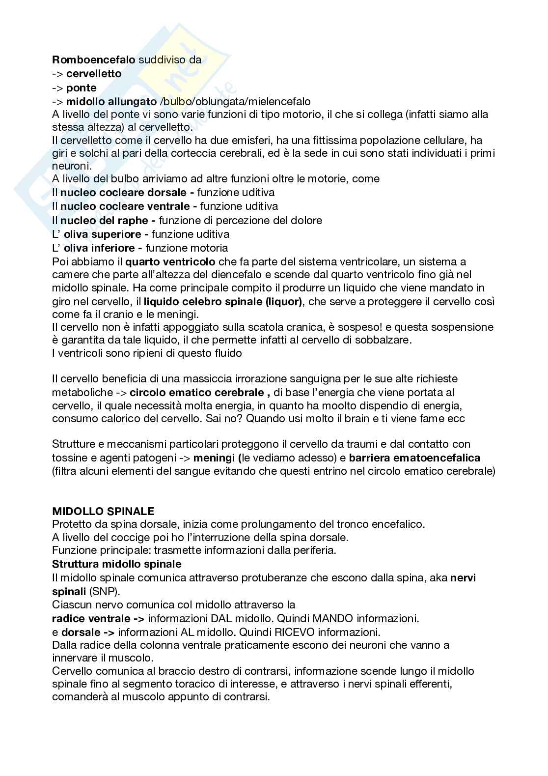 Appunti esame Psicobiologia Pag. 6