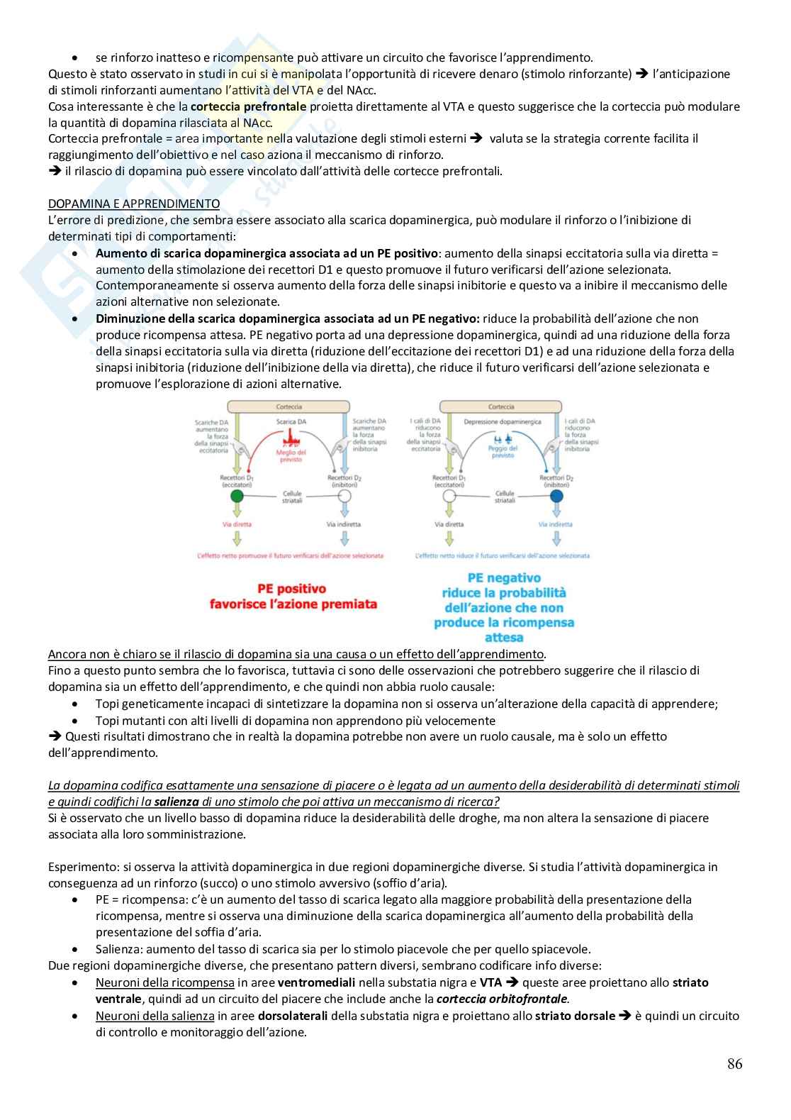 Fondamenti di neuroscienze cognitive e comportamentali - preparazione esame Pag. 86