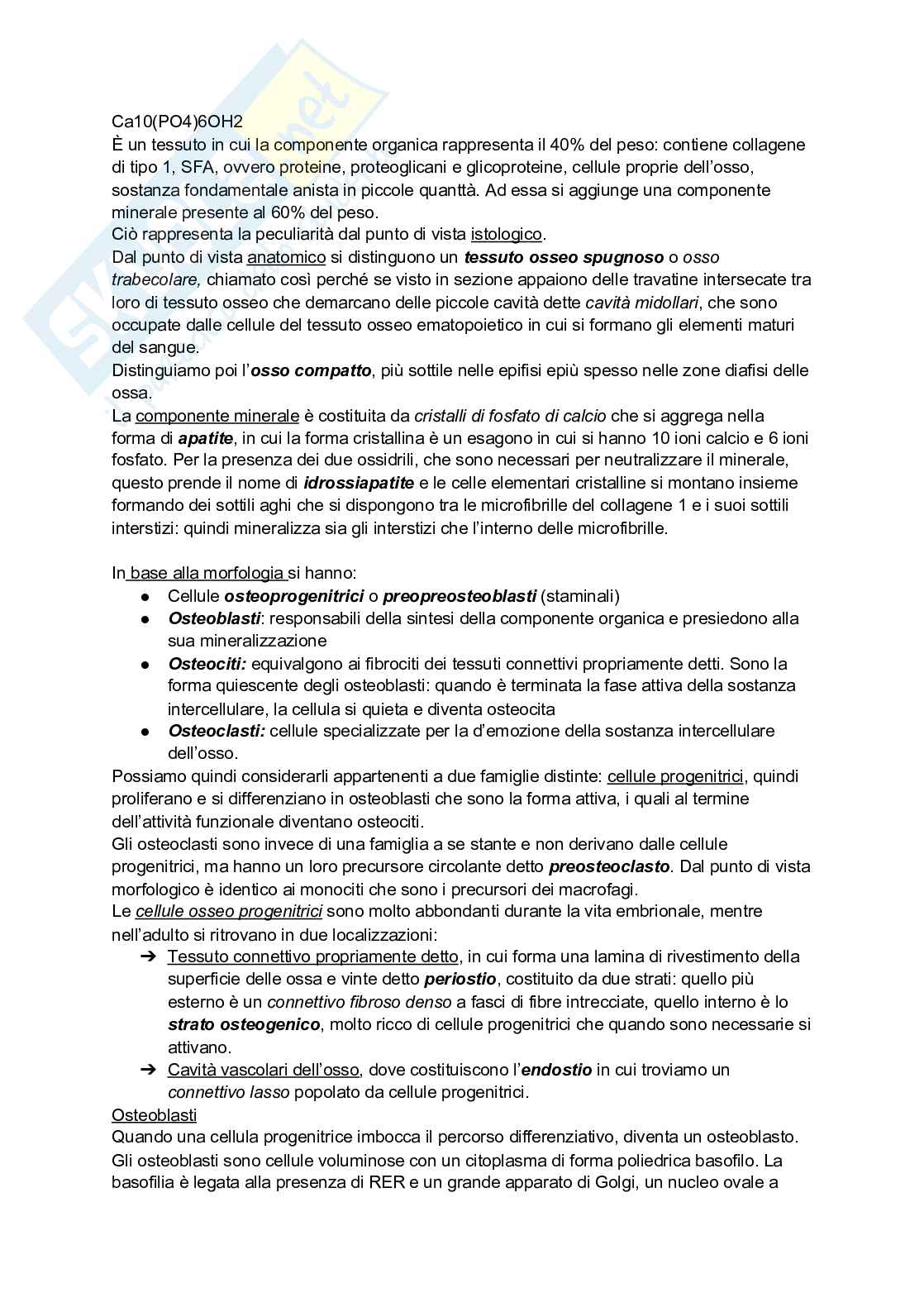 Istologia Pag. 16
