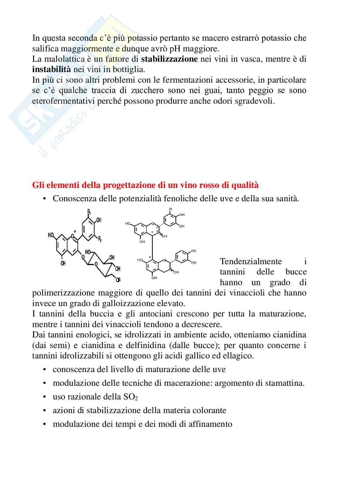 Enologia - Appunti completi di Enologia presi in classe in presenza al computer - pagine 87 Pag. 41