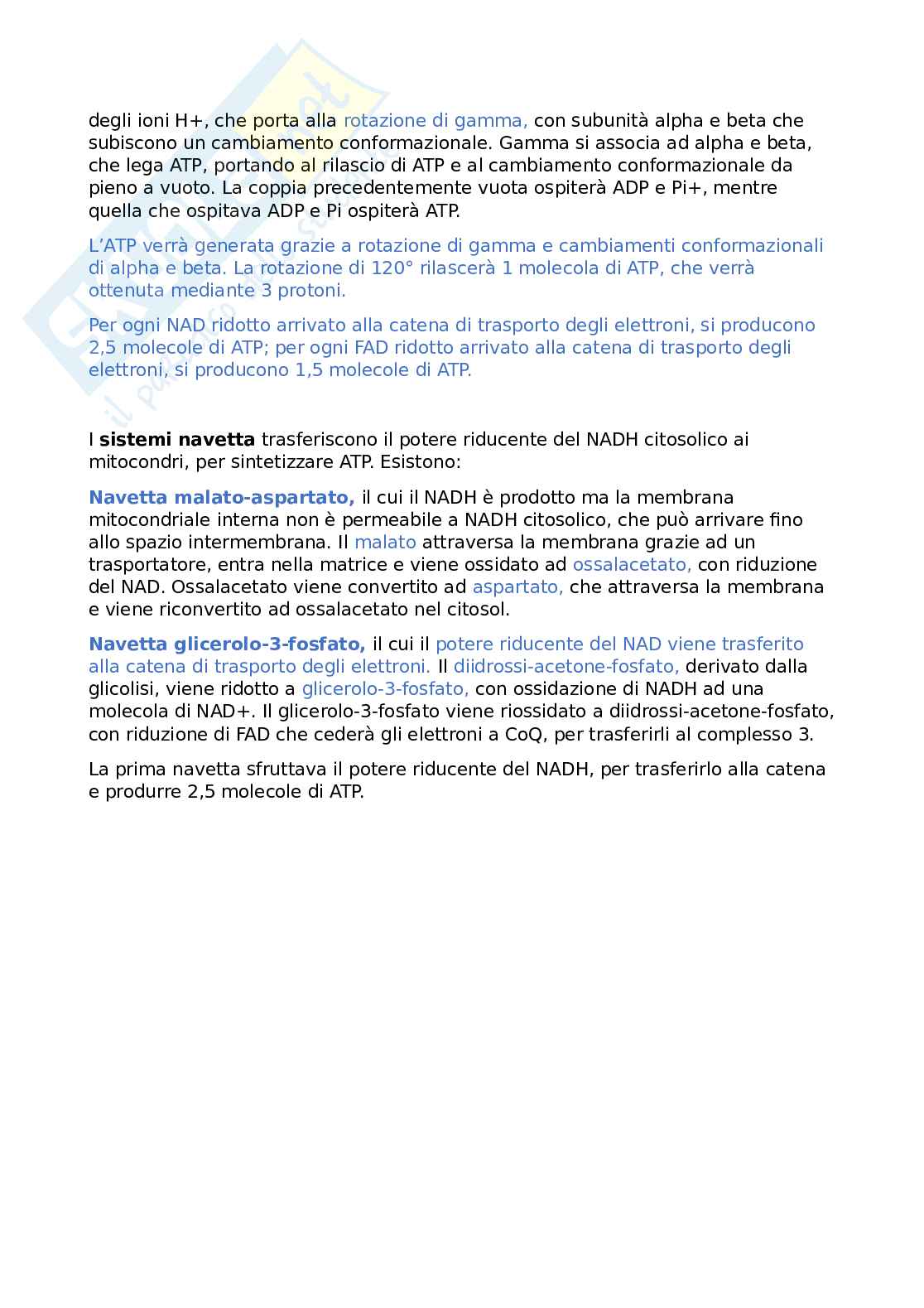 Appunti di Biochimica Pag. 41