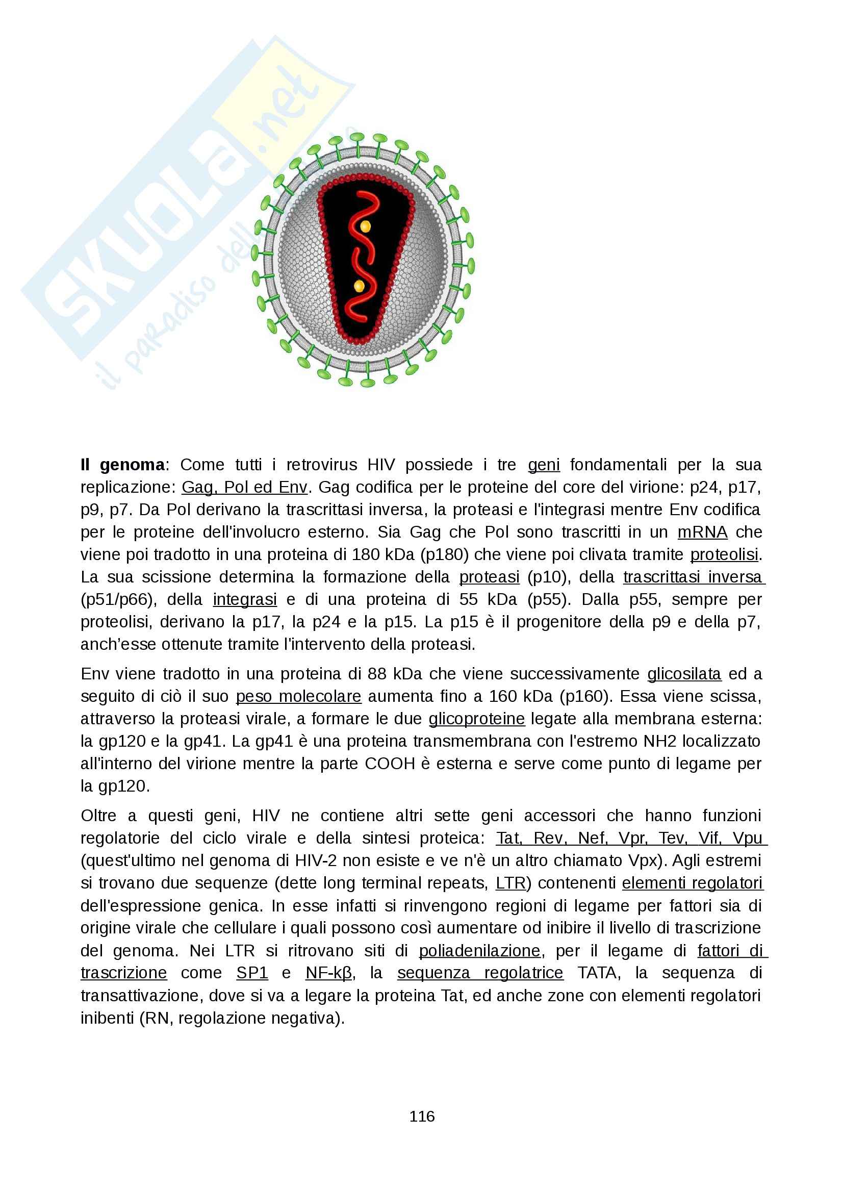Microbiologia generale - Appunti Pag. 116