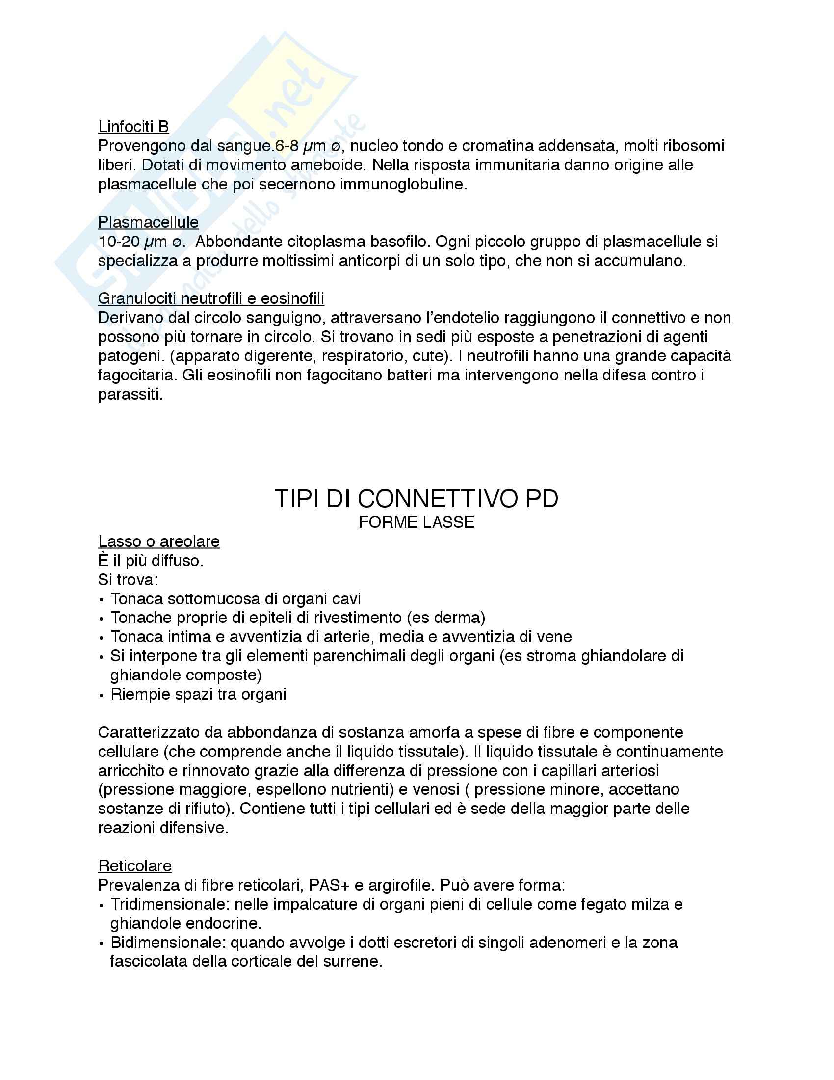 Riassunto esame Istologia, prof. Procacci, libro consigliato Istologia, Monesi Pag. 31