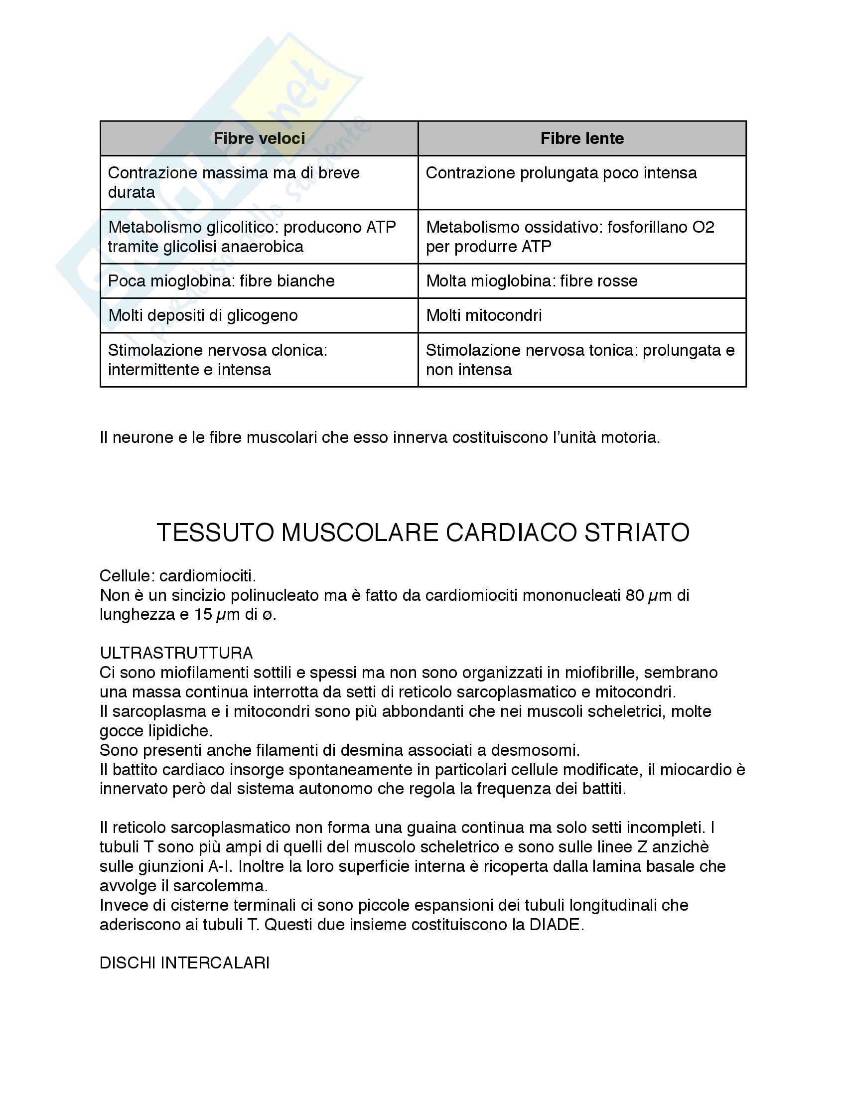 Riassunto esame Istologia, prof. Procacci, libro consigliato Istologia, Monesi Pag. 56