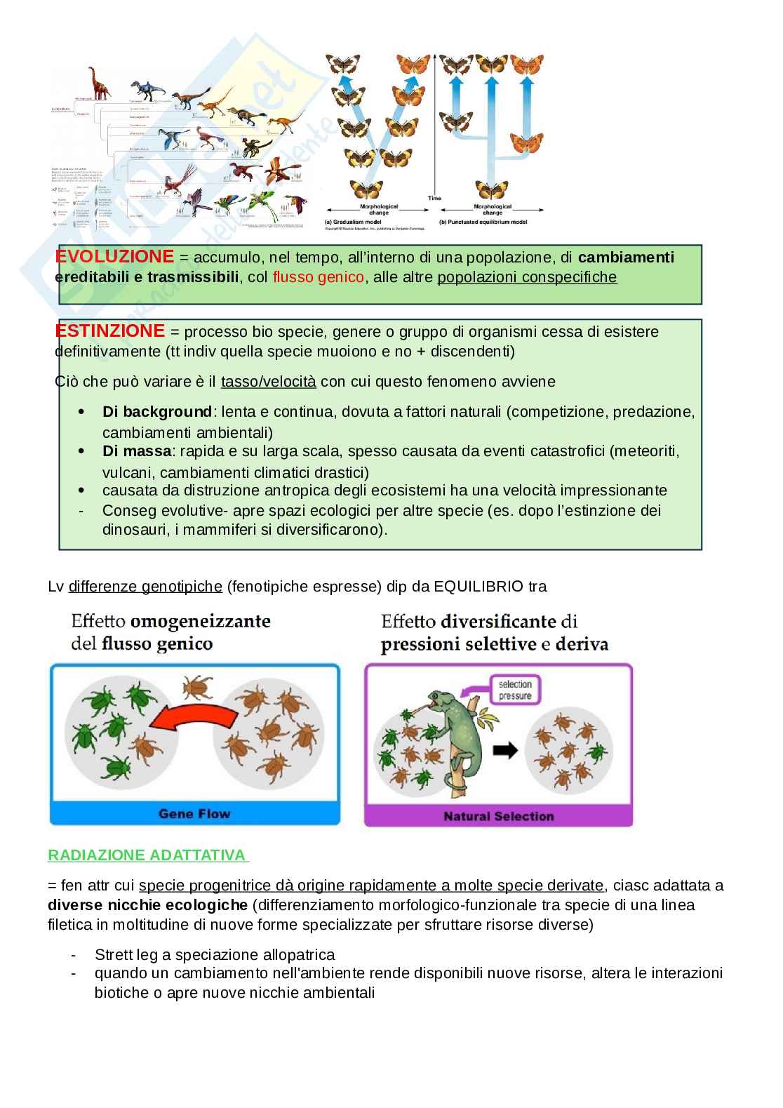 Zoologia generale  Pag. 11