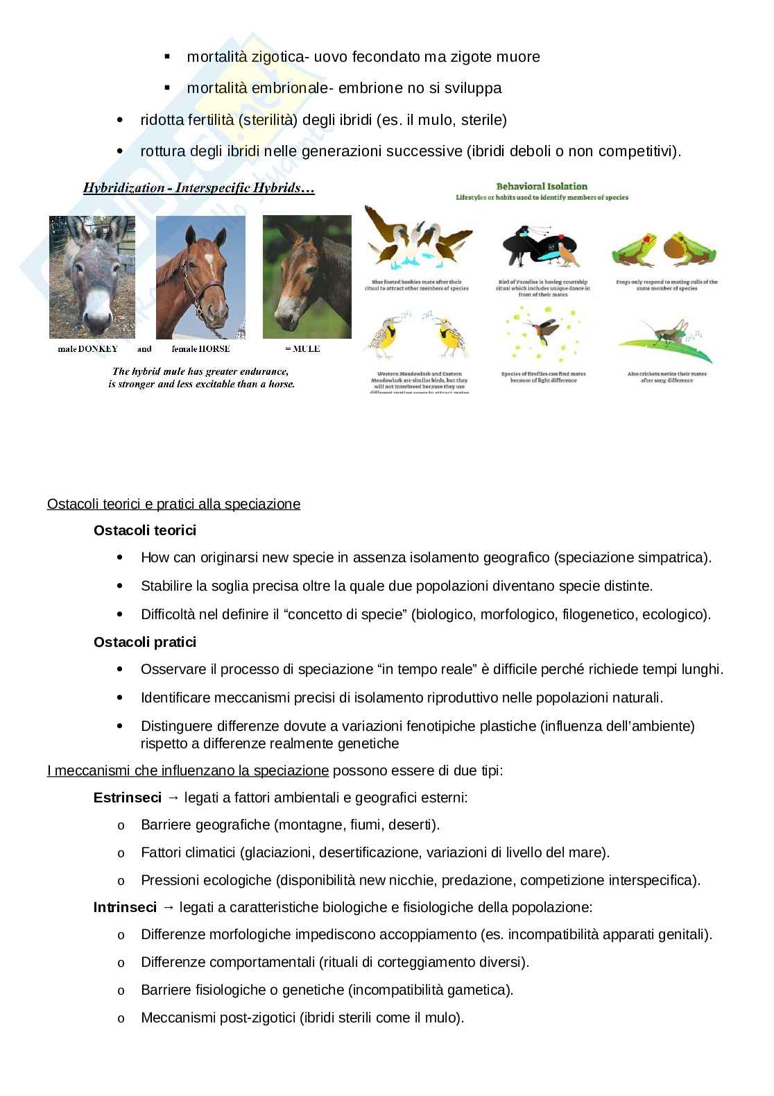 Zoologia generale  Pag. 16