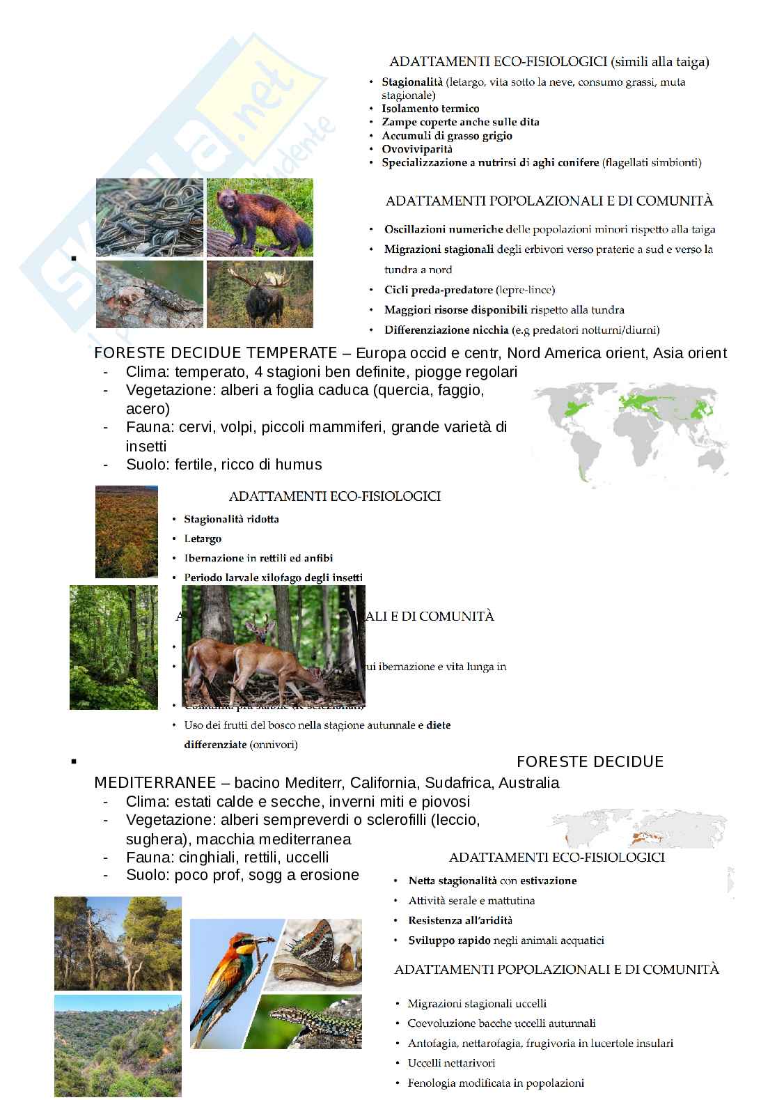 Zoologia generale  Pag. 26