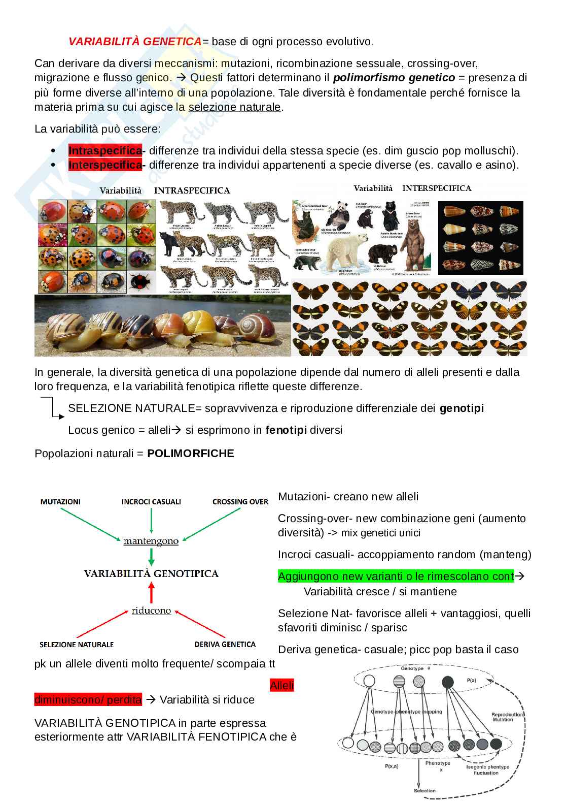 Zoologia generale  Pag. 6