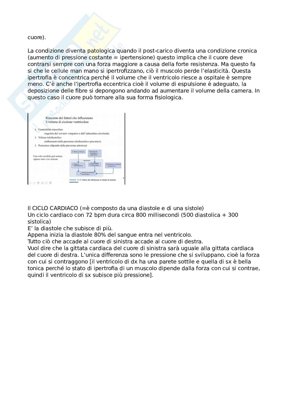 Fisiologia Pag. 16