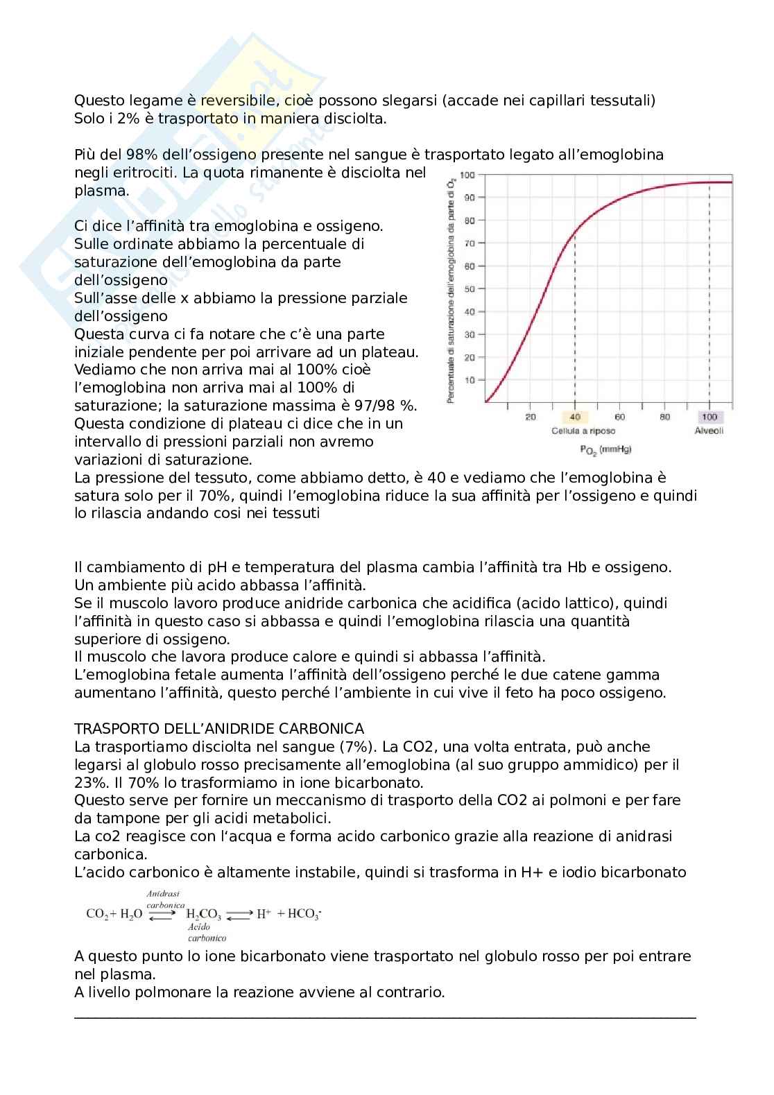 Fisiologia Pag. 26