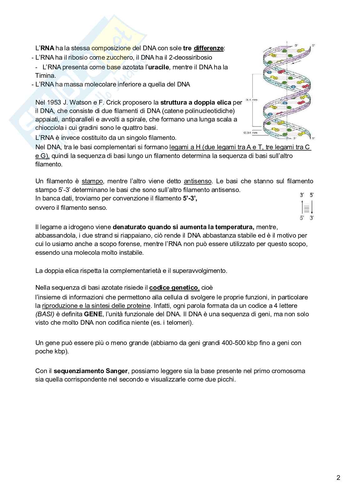 Riassunto esame Genetica medica e farmacogenomica, Prof. Gambardella Stefano, libro consigliato Genetica e genomica, Tom Strachan, Judith Goodship, Patrick Chinner Pag. 2