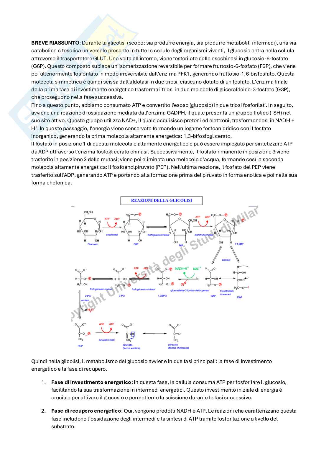 Appunti di Biochimica metabolica e funzionale sulla glicolisi Pag. 1