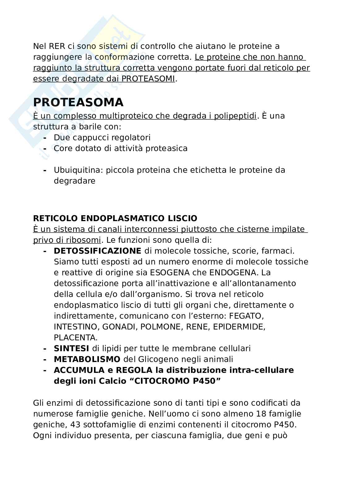 Biologia per Infermieristica  Pag. 16