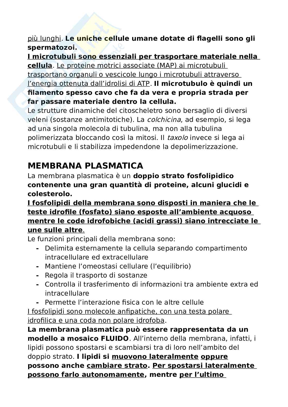 Biologia per Infermieristica  Pag. 21