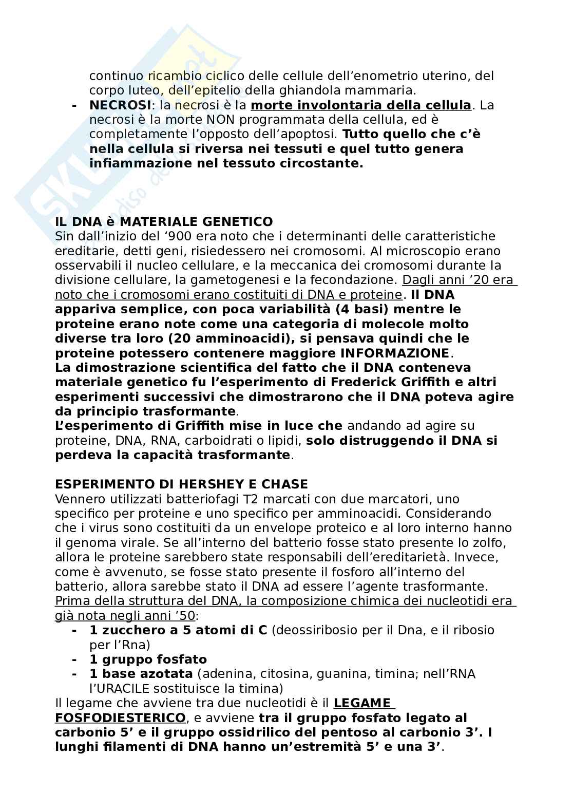 Biologia per Infermieristica  Pag. 31