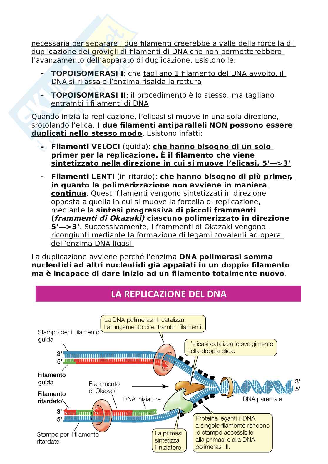 Biologia per Infermieristica  Pag. 36