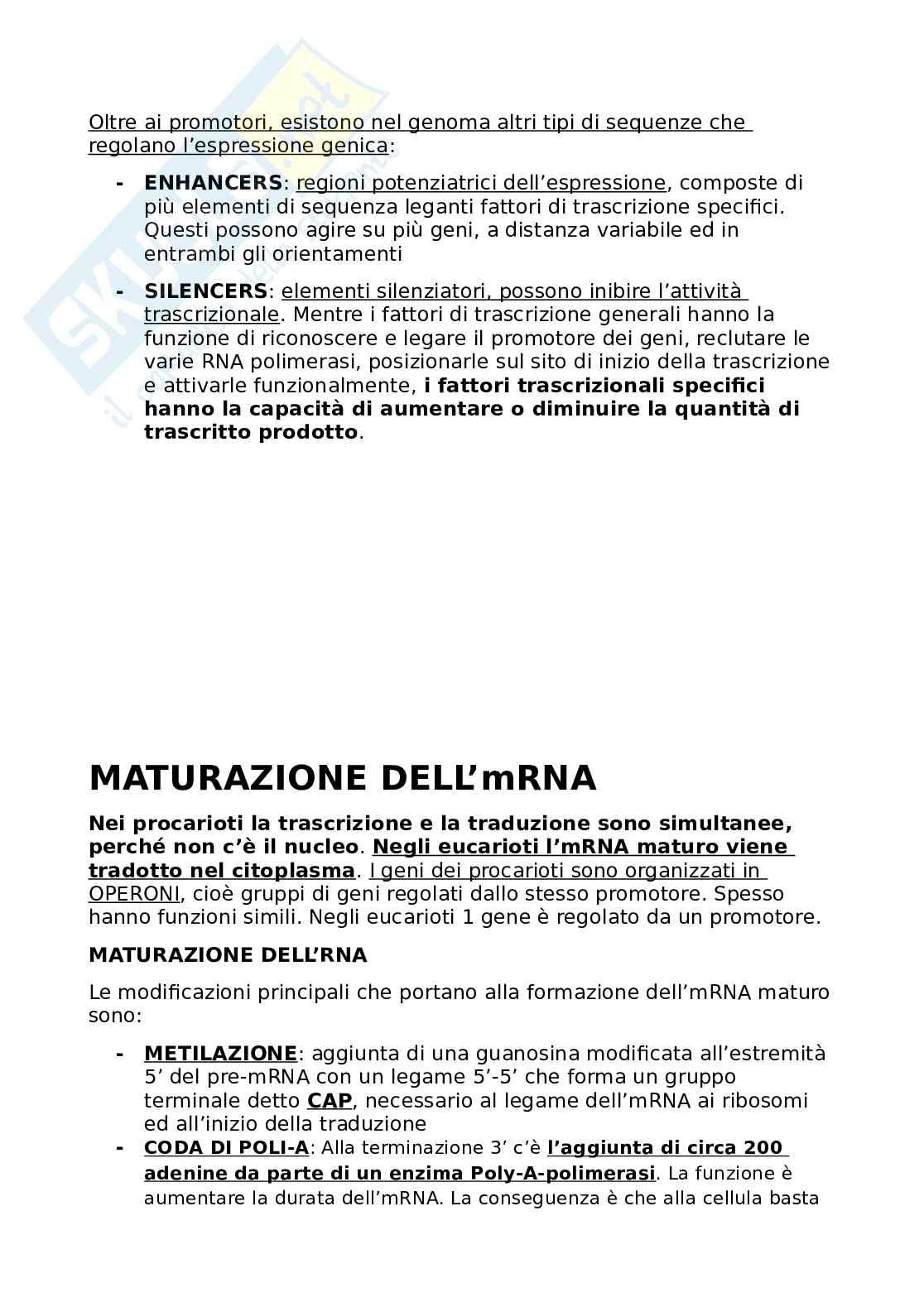Biologia per Infermieristica  Pag. 41