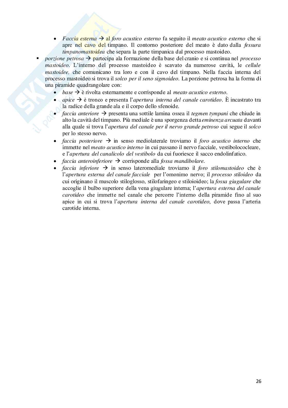 Riassunto esame di Anatomia Umana I - Apparato locomotore Pag. 26