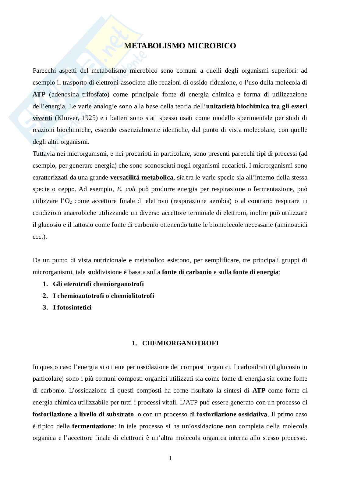 Metabolismo microbiota  Pag. 1