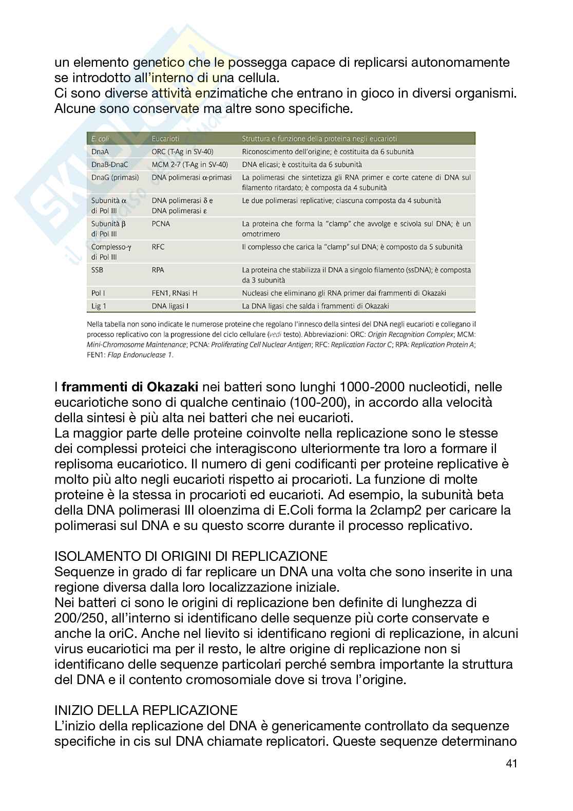 Biologia Molecolare Pag. 41