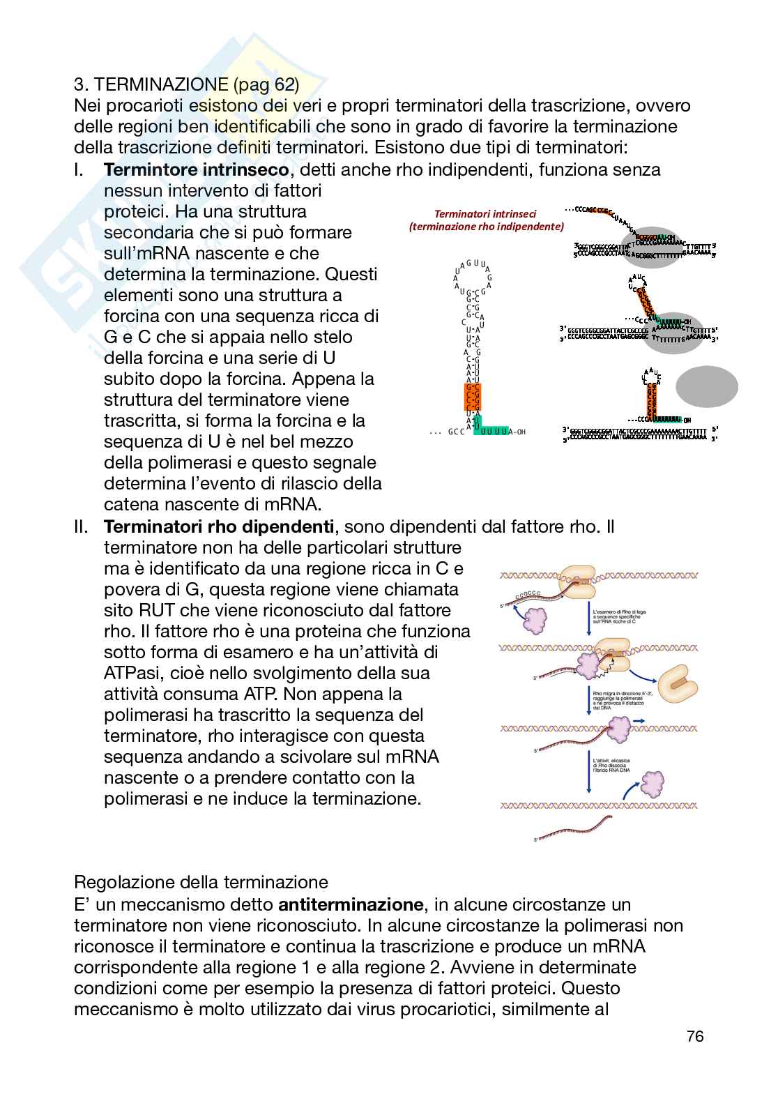 Biologia Molecolare Pag. 76