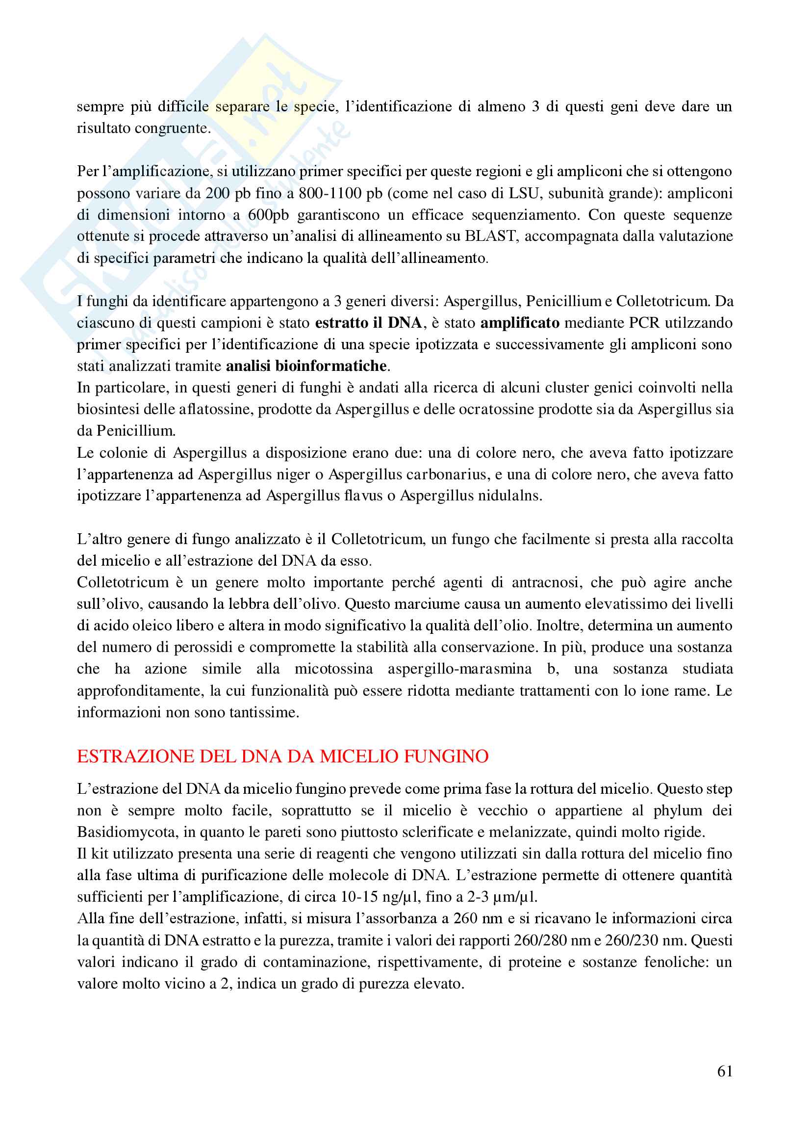 il regno dei funghi: appunti di micologia Pag. 61