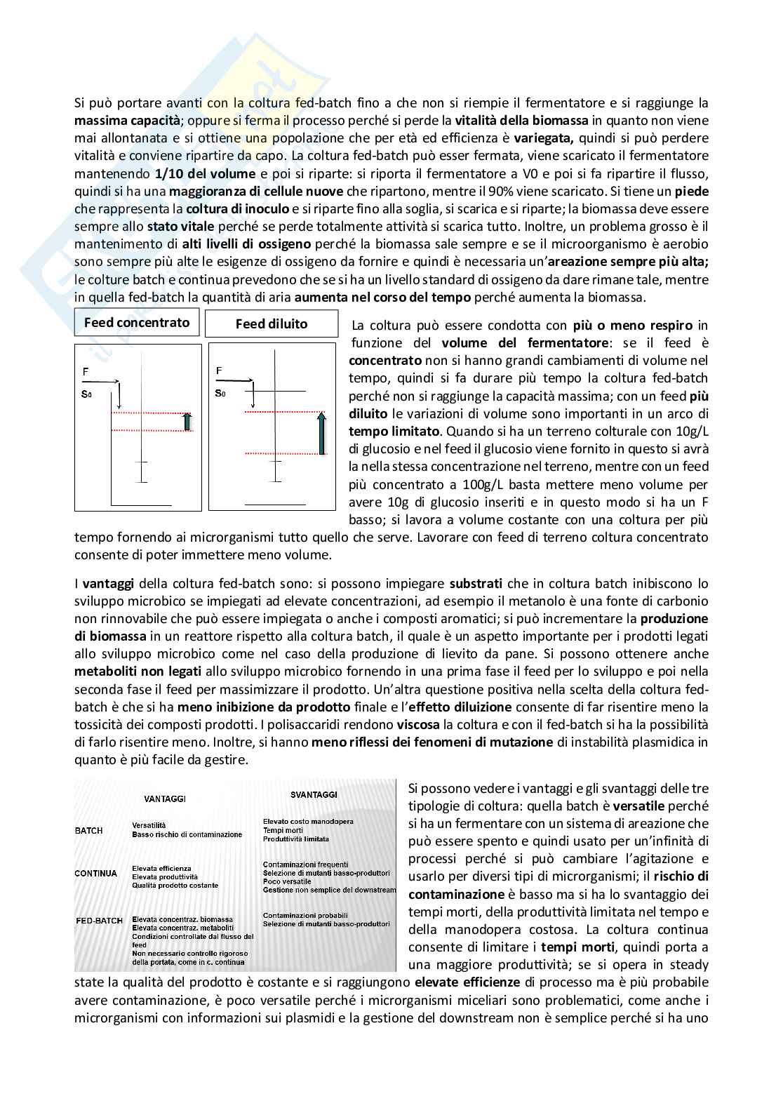 Fermentazioni industriali Pag. 51