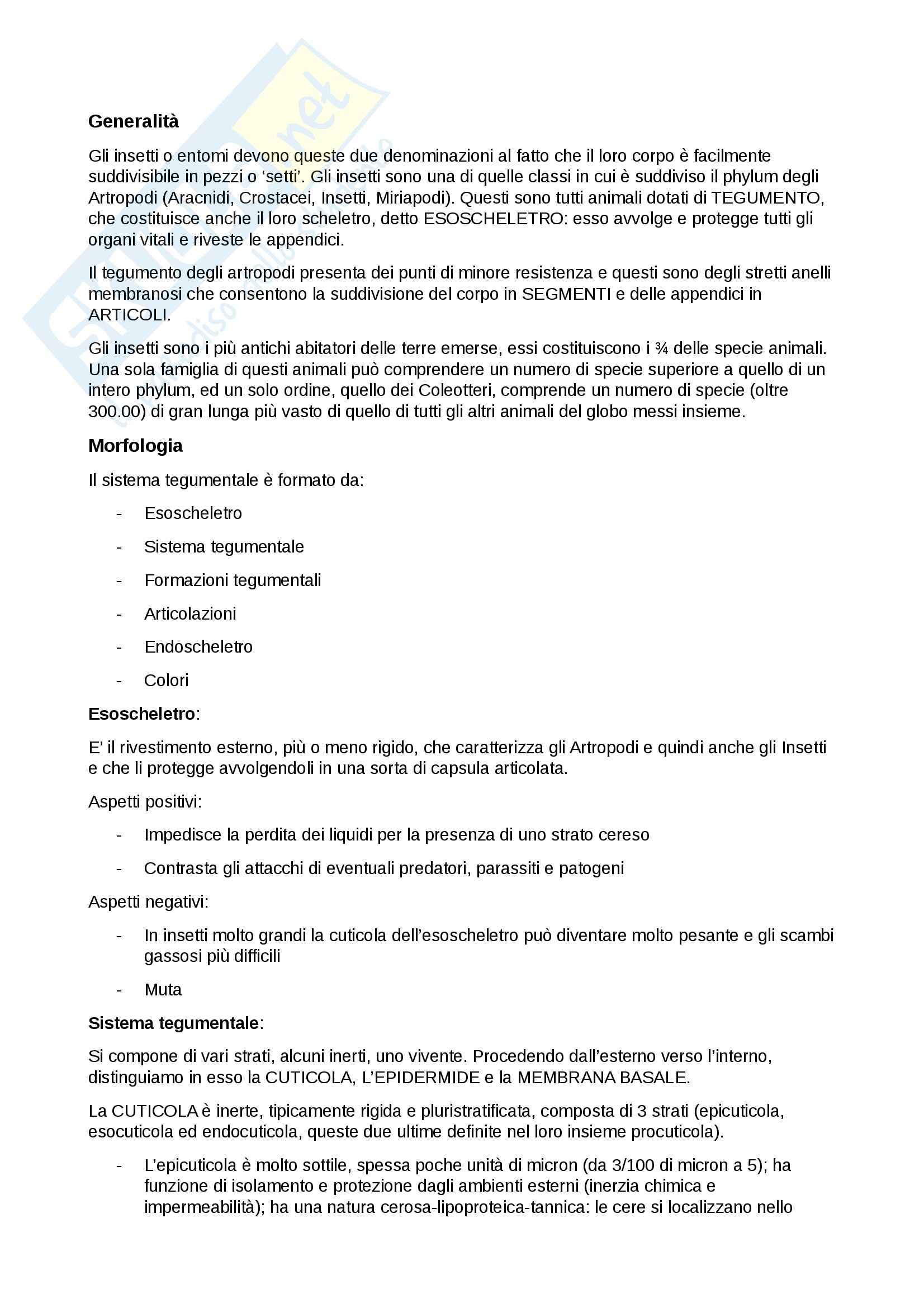 Appunti di Entomologia (morfologia) Pag. 1