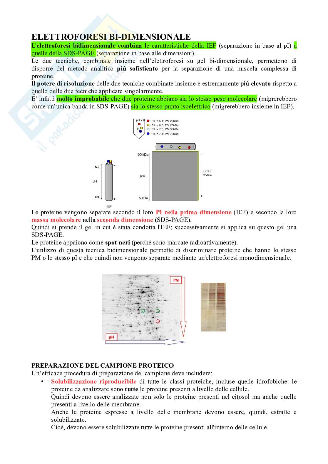 Appunti Biochimica applicata Pag. 6