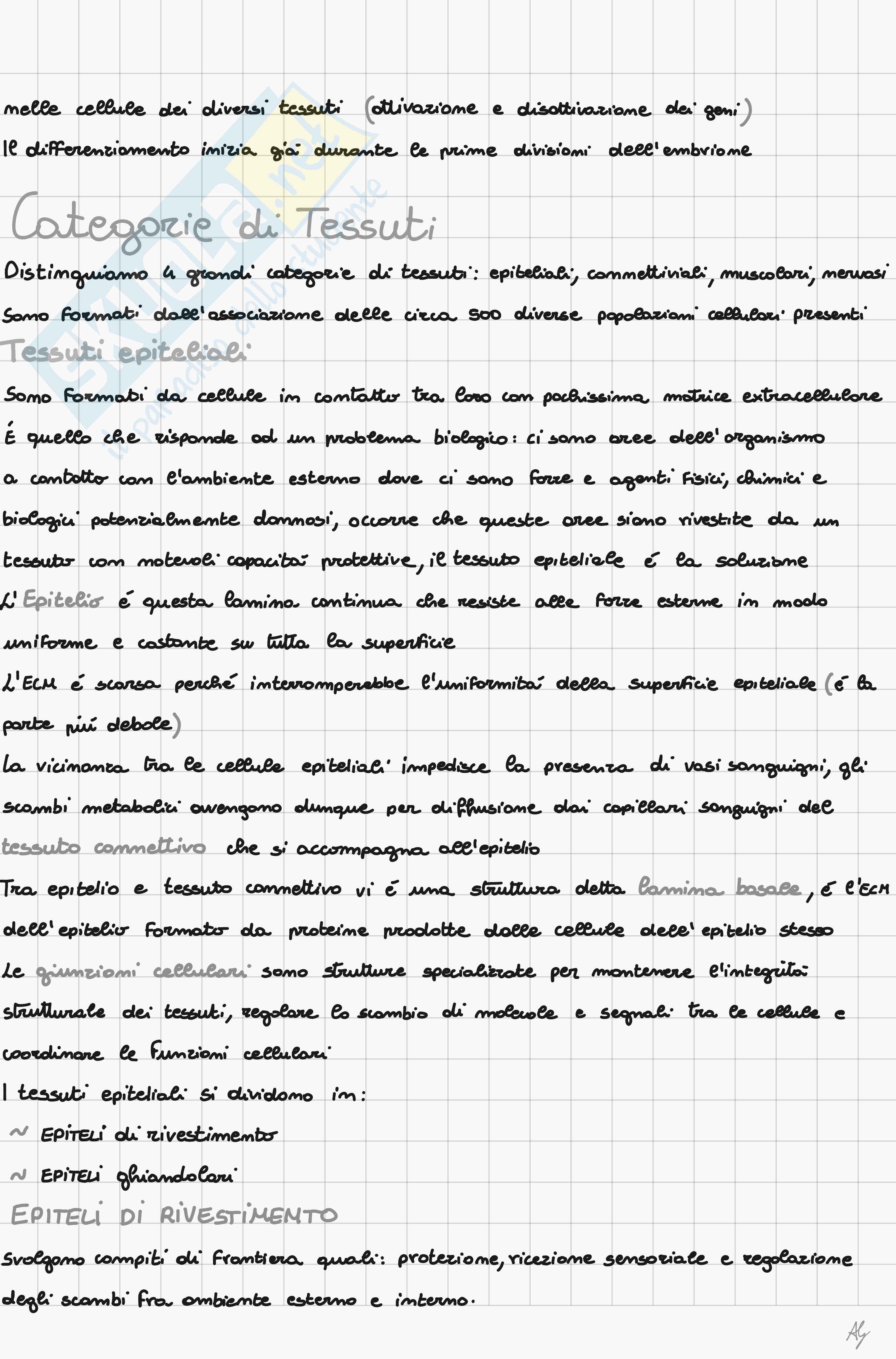 Istologia  Pag. 2