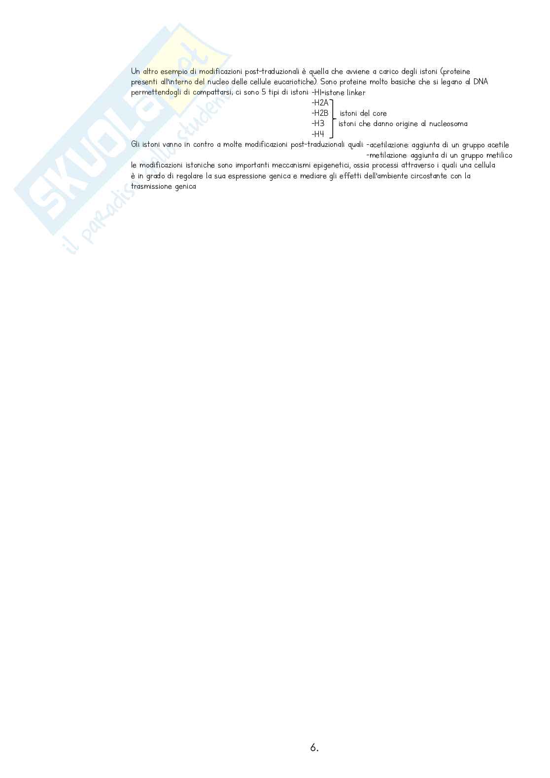 Appunti di Citologia  Pag. 6