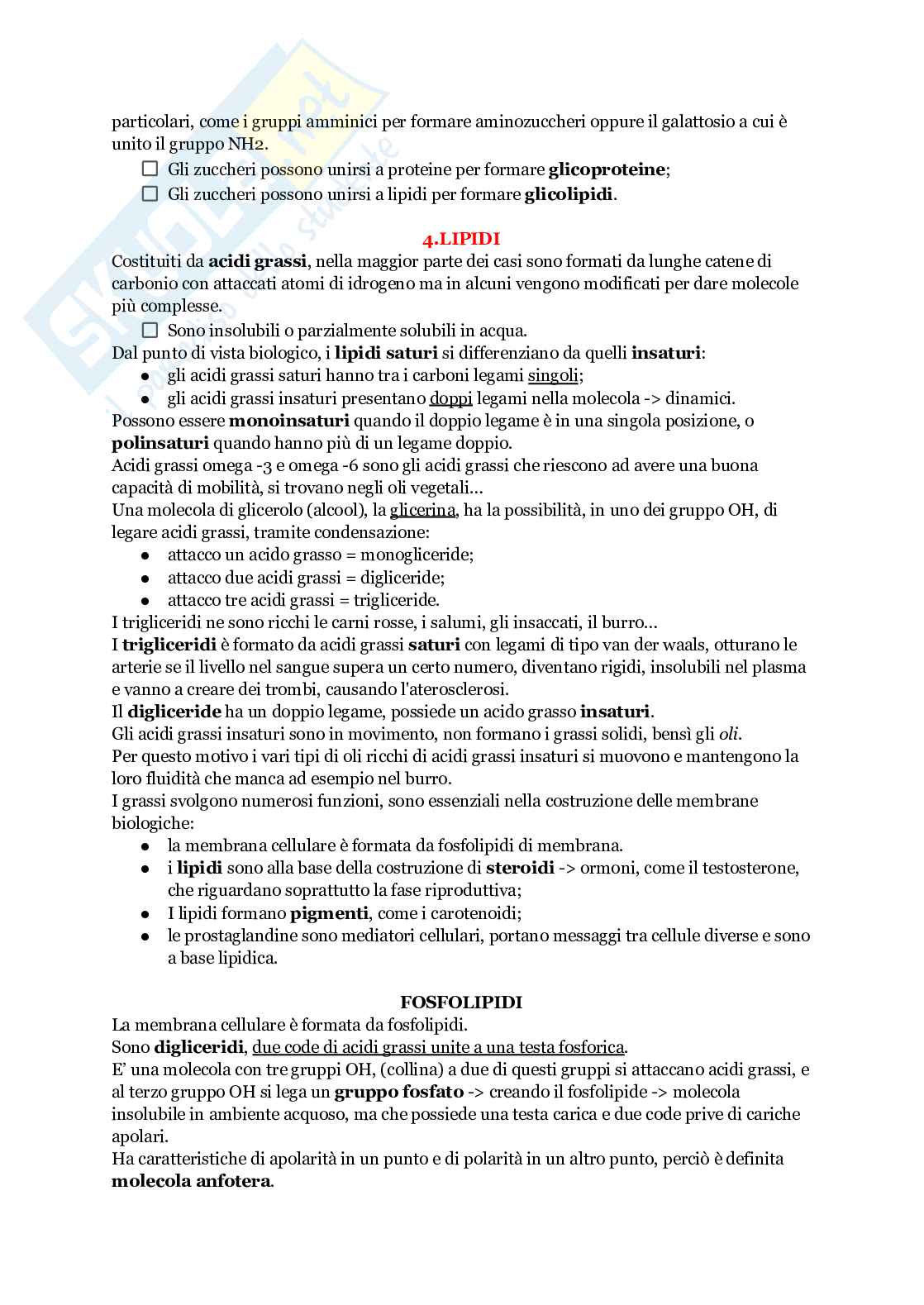 Biologia animale Pag. 11
