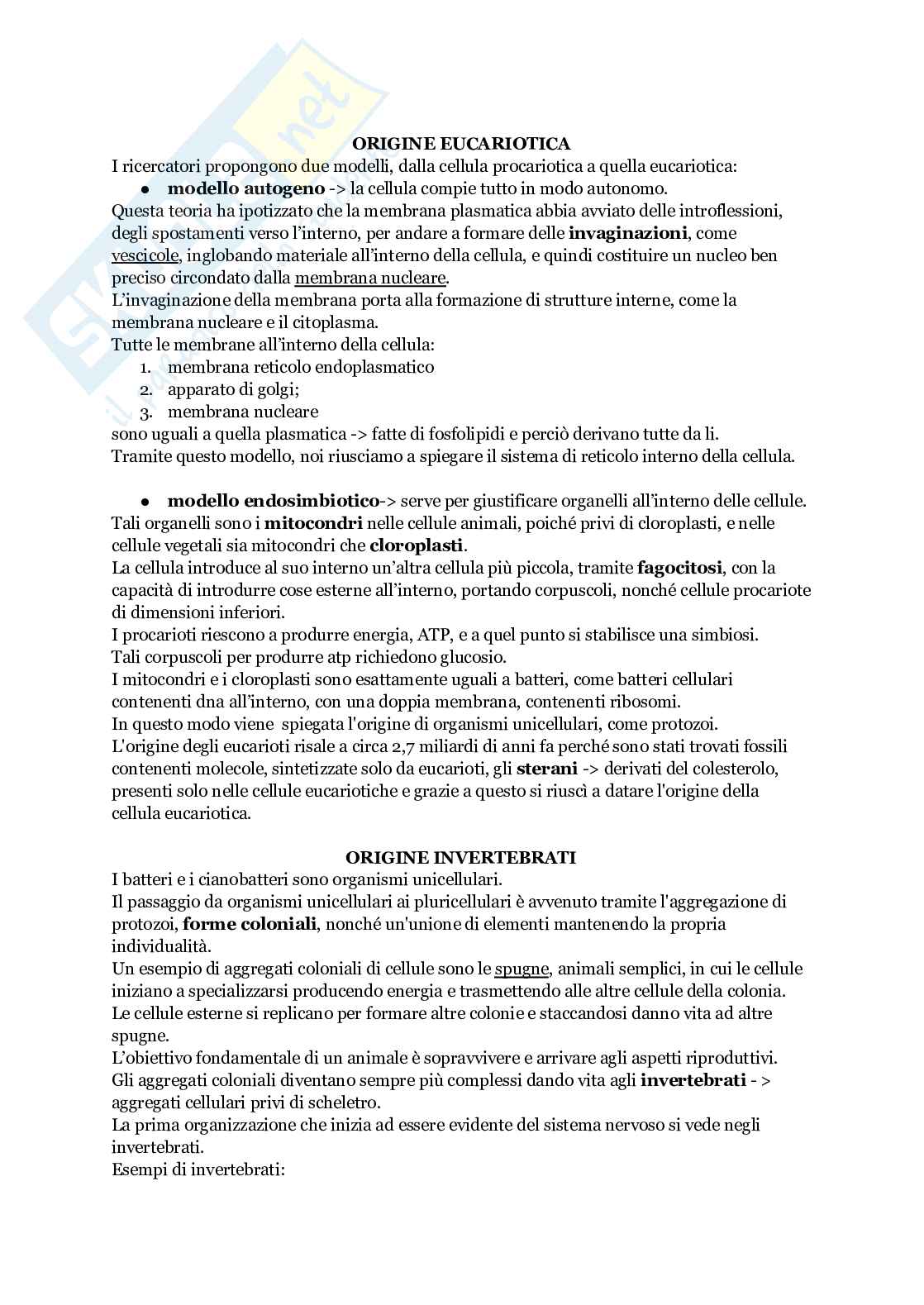 Biologia animale Pag. 16