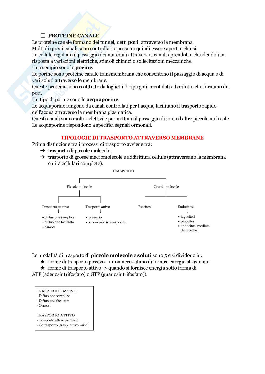 Biologia animale Pag. 31