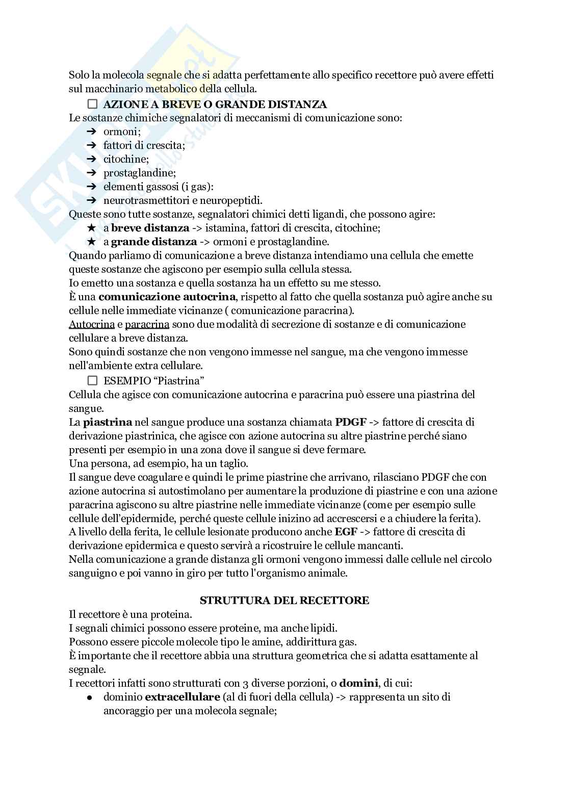 Biologia animale Pag. 36