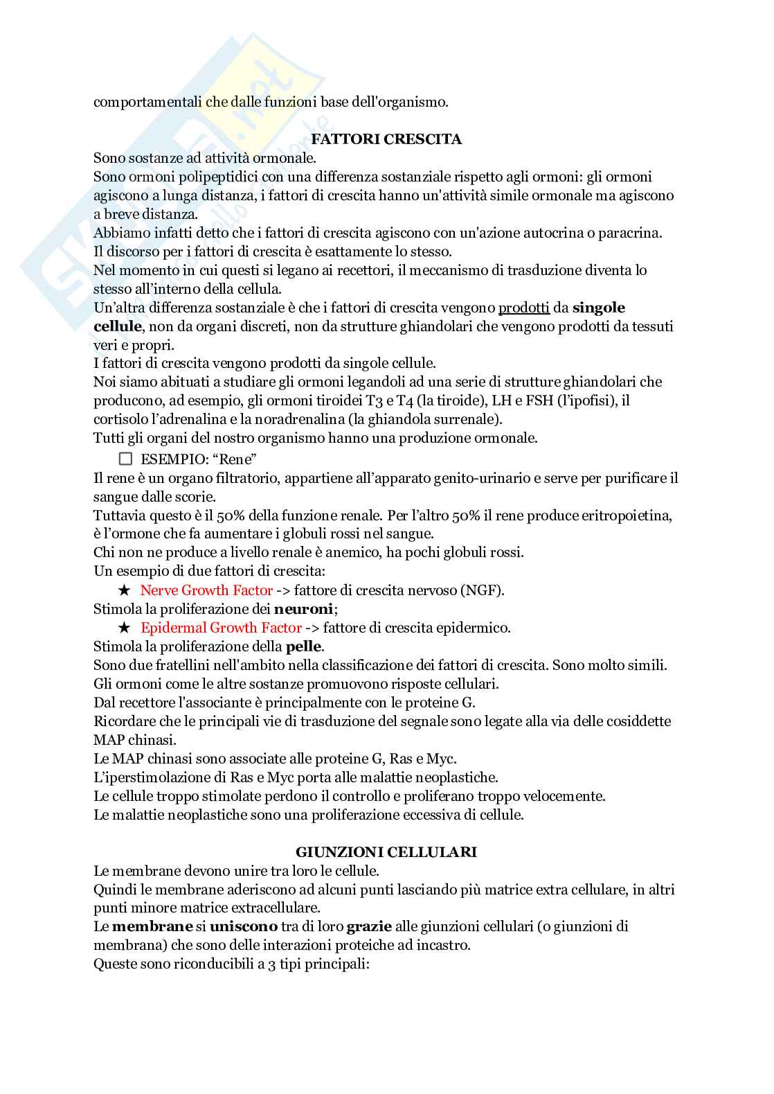 Biologia animale Pag. 41