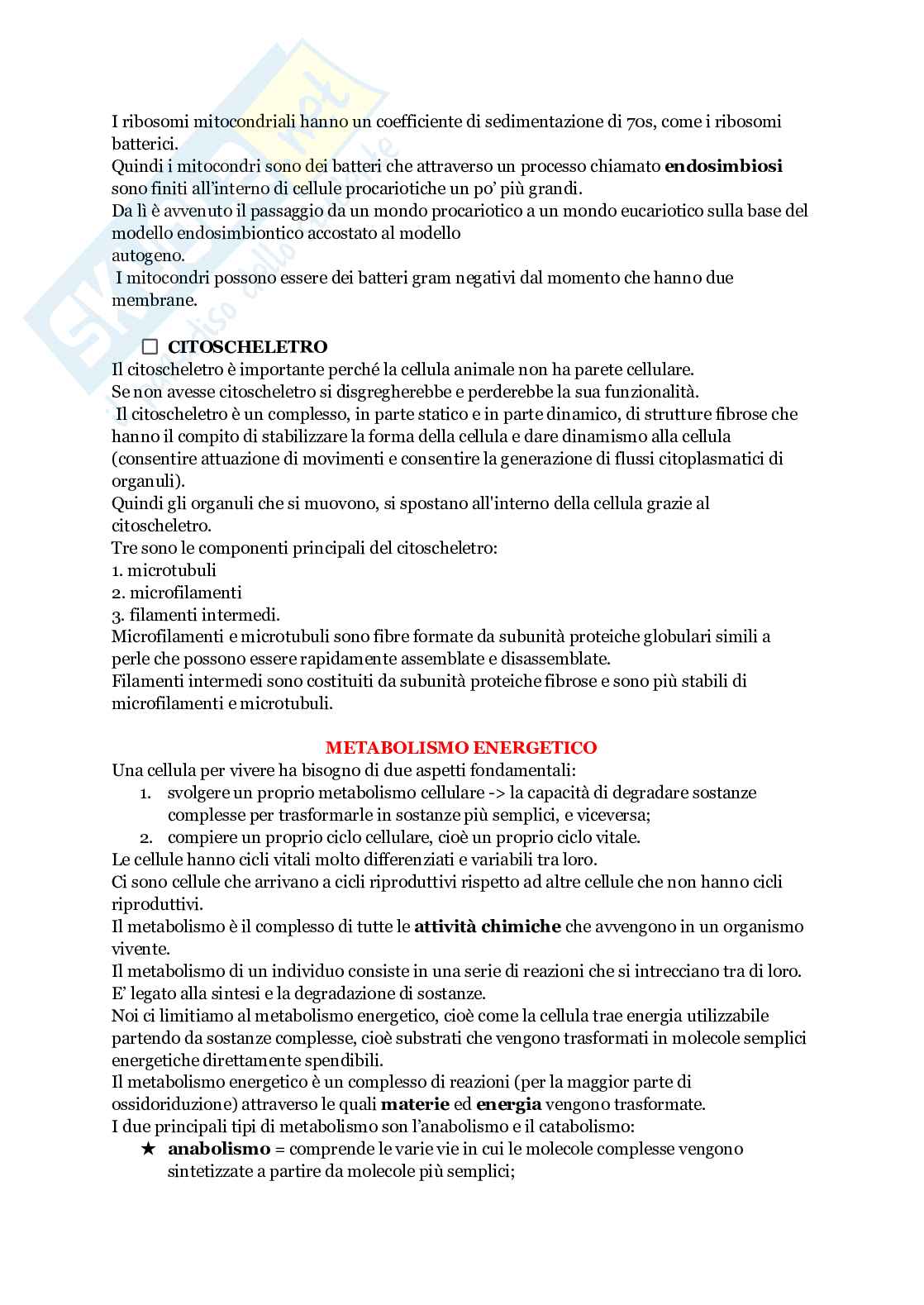 Biologia animale Pag. 46