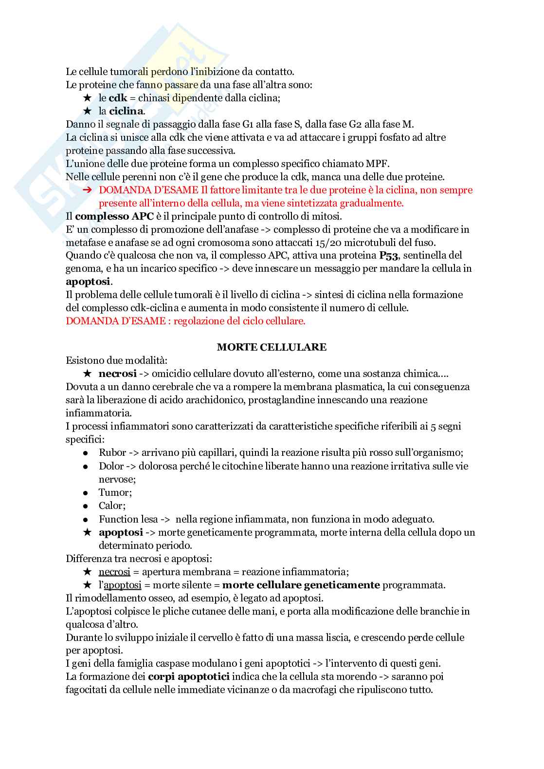 Biologia animale Pag. 51