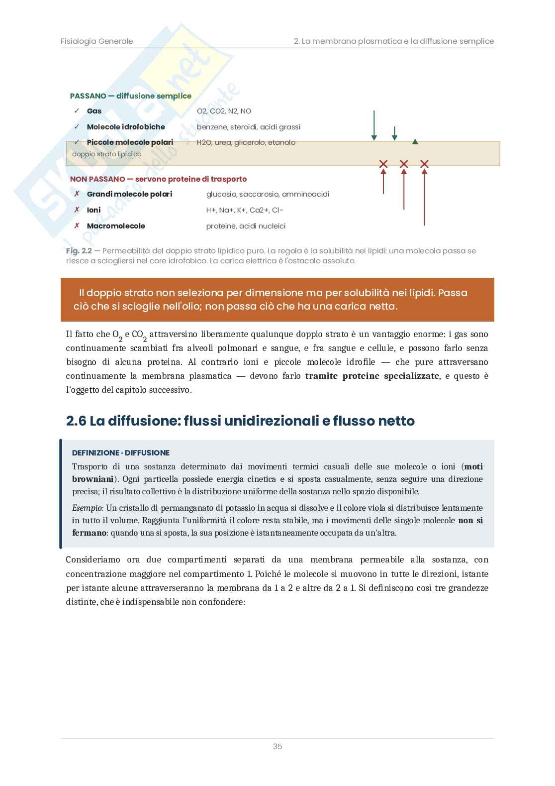 Fisiologia generale – Teoria completa + 414 domande d’esame, appunti e mappe concettuali  Pag. 36