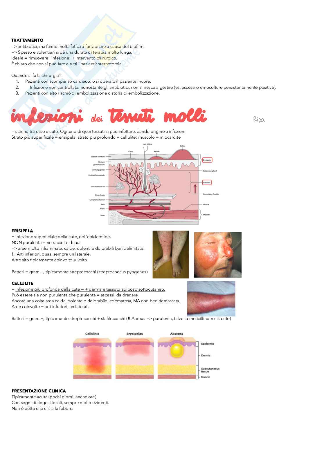 Malattie infettive Pag. 16