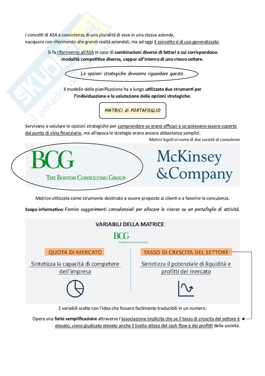 Controllo strategico - Appunti Pag. 6