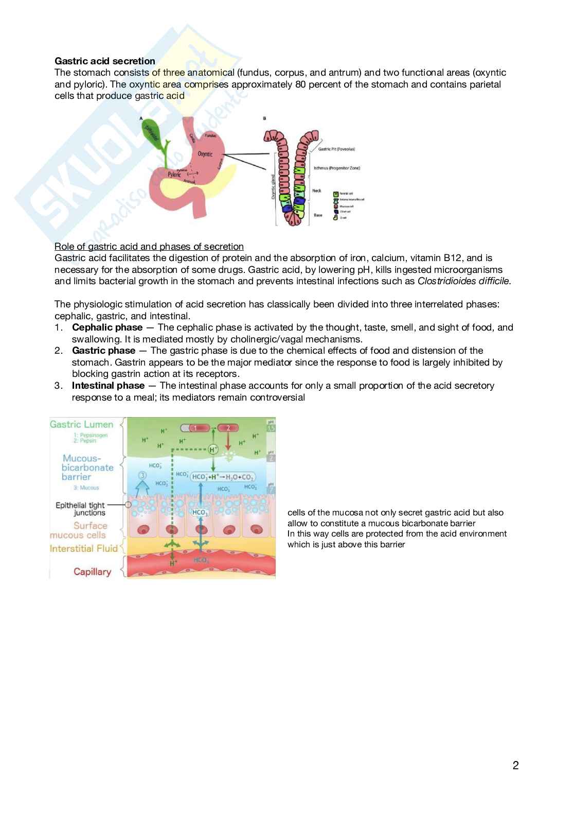 General medicine Pag. 2