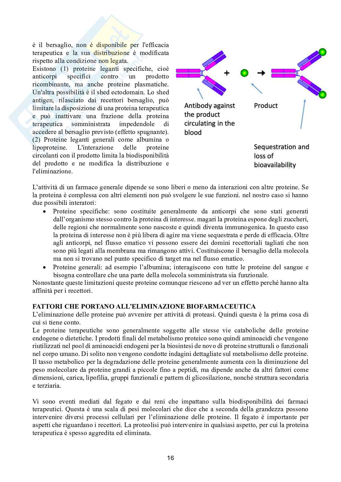 Biotecnologie delle cellule staminali Pag. 16