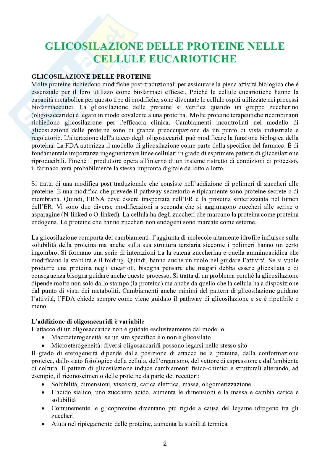 Biotecnologie delle cellule staminali Pag. 2