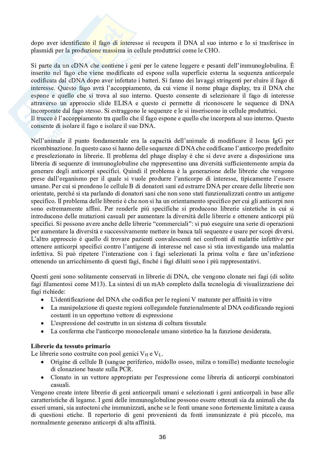 Biotecnologie delle cellule staminali Pag. 36